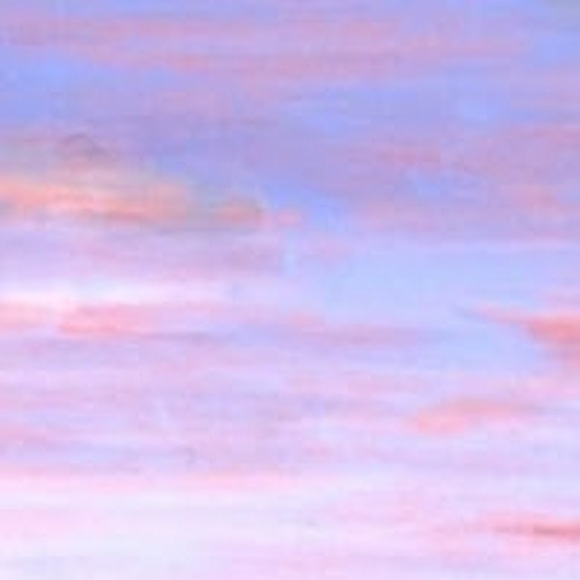 Meet your Posher, Mackenzie - Picture 1 of 1